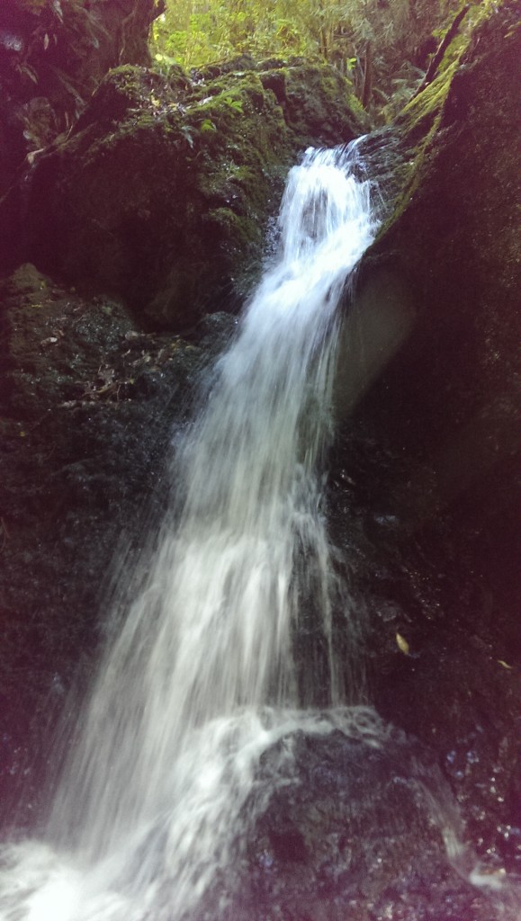 The Waterfall at the end of the Waterfall Track in Belmont Regional Park (Dry Creek entrance)