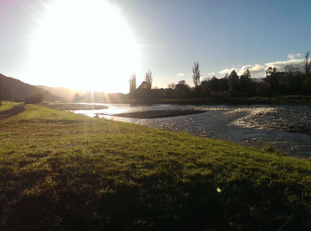 The Hutt River North Bank looking east
