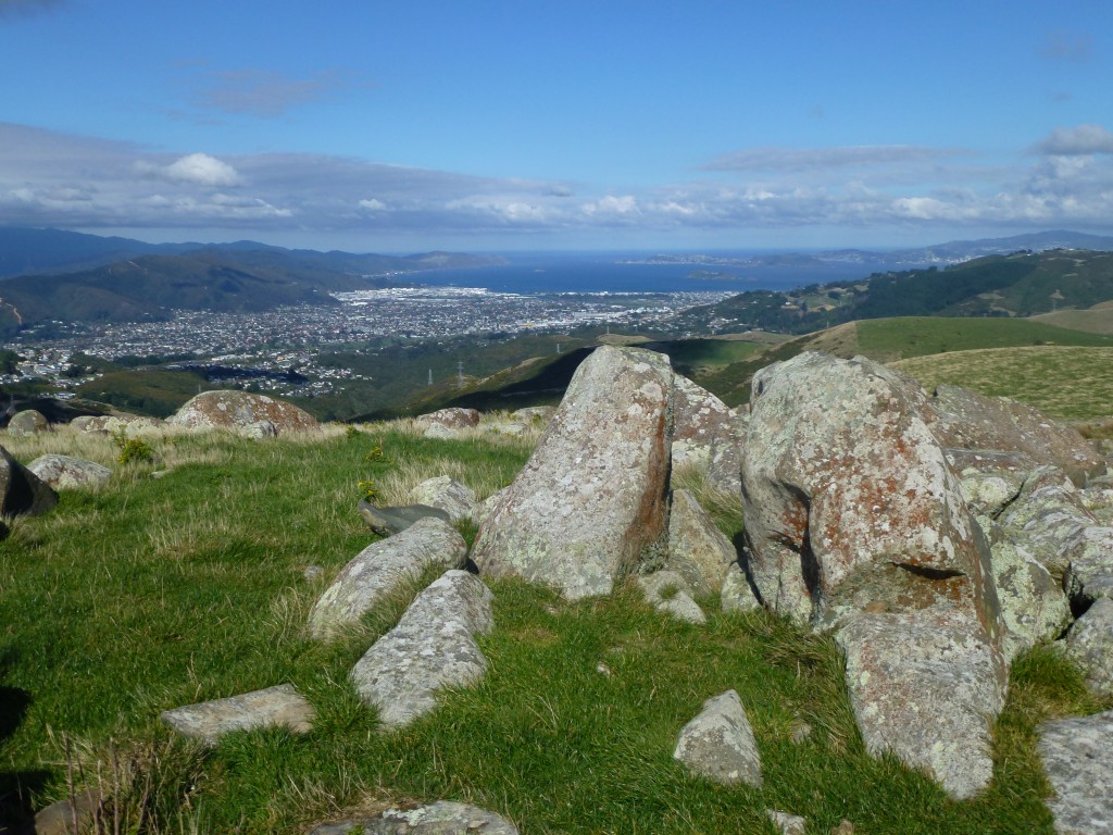 The view of Wellington Harbour from the top of Boulder Hill