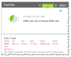 Food Plan 15 June