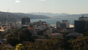 View from up Hutt Valley from Botanic Gardens