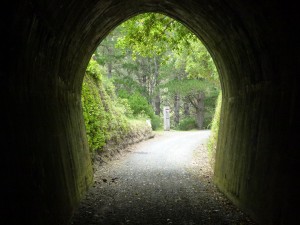 A tunnel on Rimutaka Incline