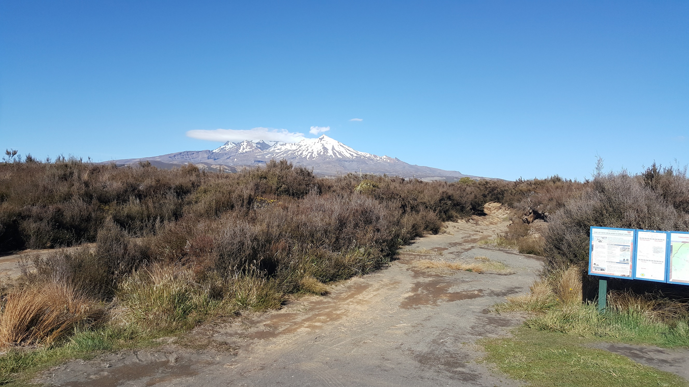 Mini-Hike: Desert Road to Whakapapa Village via Waihohonu Hut – One Fat ...