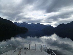 Along Lake Te Anau